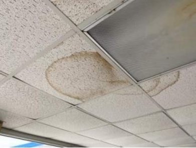Royal Junior High School needs some ceiling repair work.